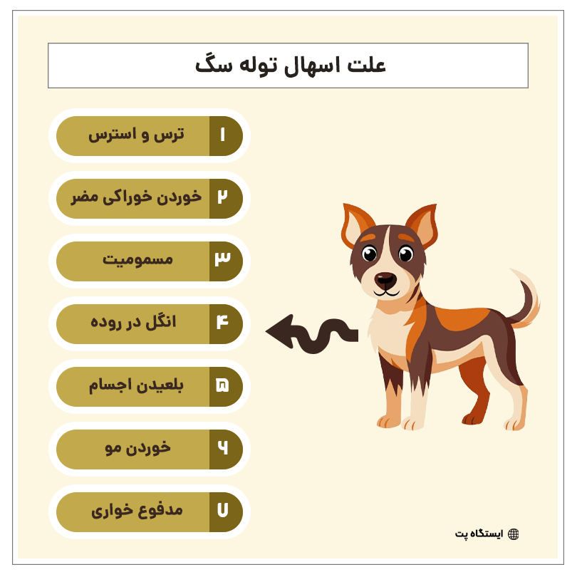 اینفوگرافیک علت اسهال توله سگ
