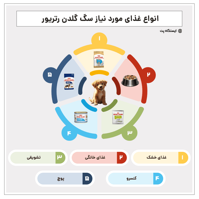 اینفوگرافیک غذای سگ گلدن رتریور