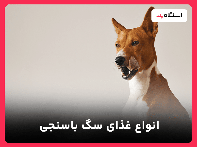 غذای سگ باسنجی